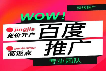 百度推广公司案例研究：揭秘电商行业爆款打造秘诀
